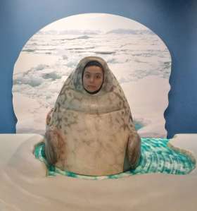 A dark haired person in a seal suit looking out into the world. Embodies the "support me" intention of the page